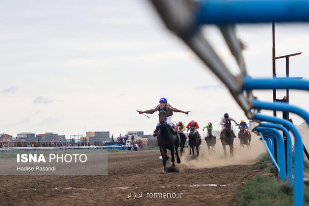 اعلام زمان انتخابات فدراسیون سوارکاری